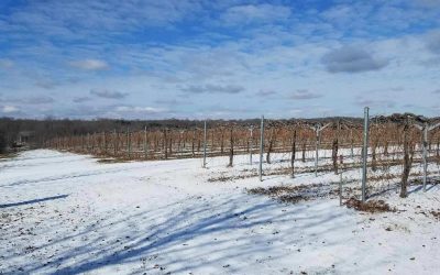 5 Reasons to Visit the Shawnee Hills Wine Trail this Winter