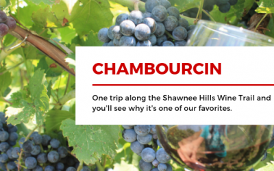 Chambourcin:  A Shawnee Hills Favorite